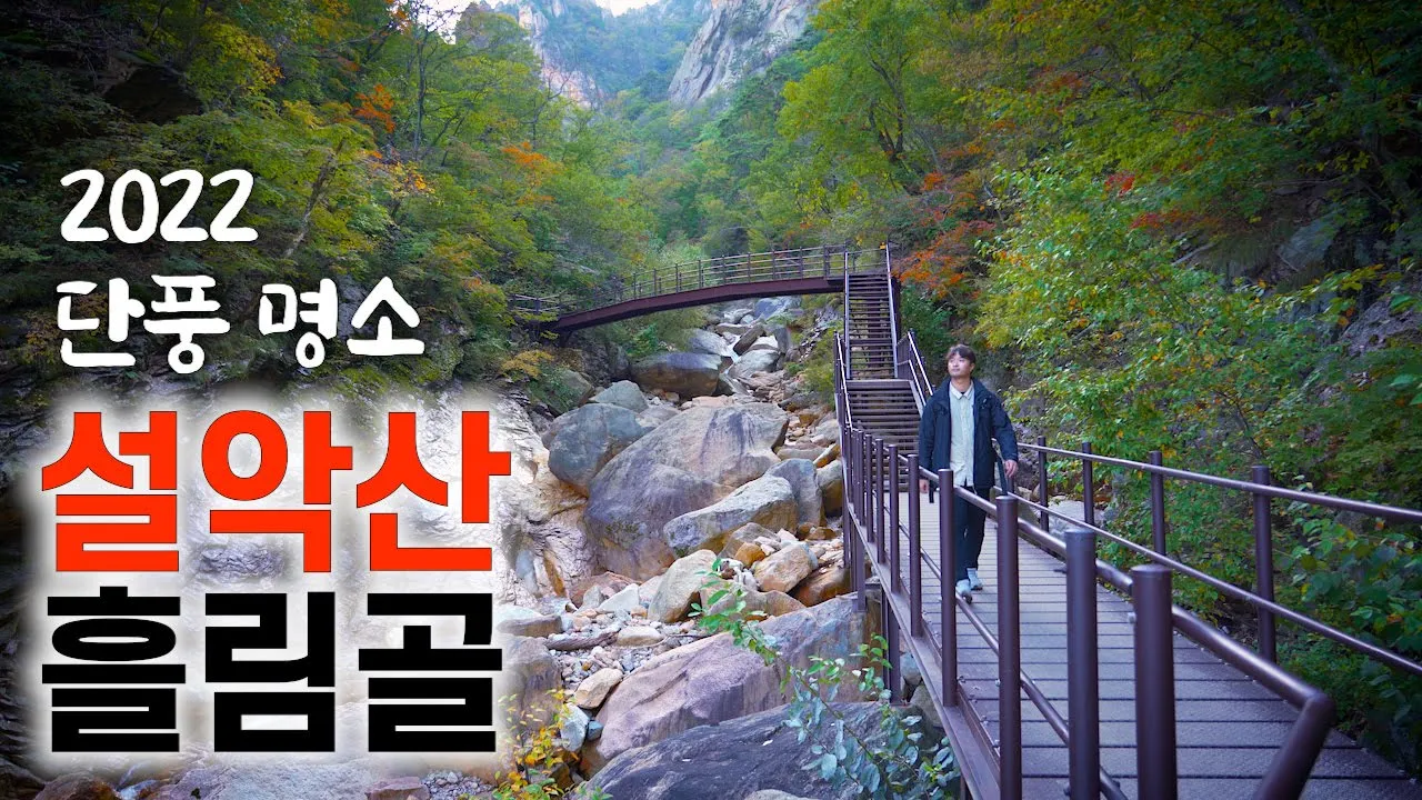 [등산 여행] 단풍이 아름다운 설악산 흘림골 코스_100대 명산_주전골 트레킹_가을 추천 サムネイル