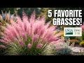 Doug s 5 Favorite Ornamental Grasses for Low-Maintenance Drought-Tolerant Lawn Alternatives