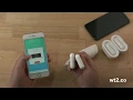 Video di How to start WT2 Translator (Working sample)