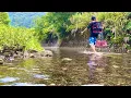 Download Lagu If you set a trap in a jungle river using liver as bait...