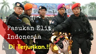 5 pasukan elit pemberantas teroris yang dimiliki indonesia di terjunkan 