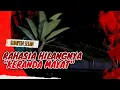 Lagu Rahasia Hilangnya \