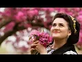 Download Lagu Alexandra Bleaje Colaj melodii NOI ”Ana fata de la munte„