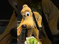 Download Lagu Disney Pluto Man's Best Friend #shorts
