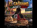 El caguamo 