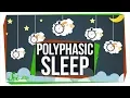 What Do Scientists Really Know About Polyphasic Sleep