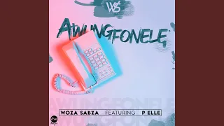 awungfonele feat p elle 