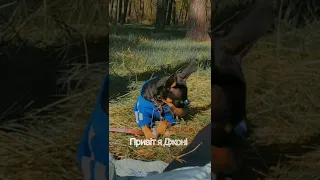 моя любов на все життя р е к о м и н д а ц и и 