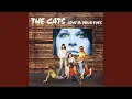 Download Lagu Rock 'N' Roll (I Gave You The Best Years Of My Life)