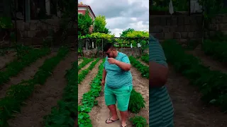 ياسين جنكيز راقص الكرش 