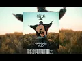 Drevo - Смарагдове небо ( 2025 )