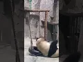 bored panda funny