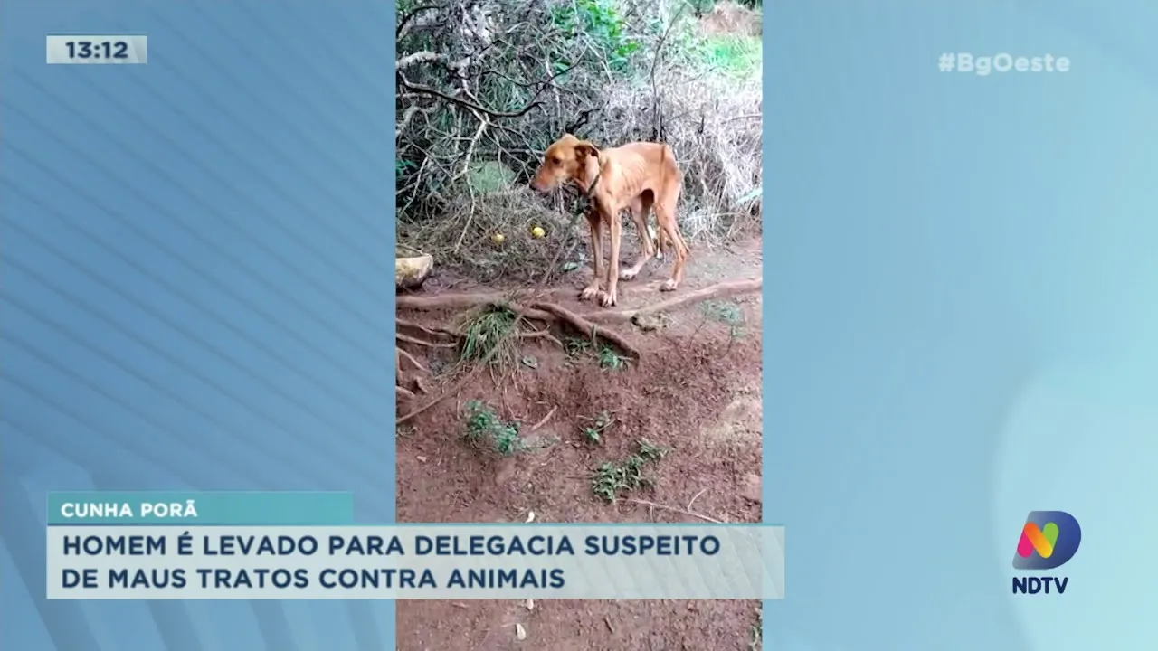 Homem é levado para delegacia suspeito de maus tratos contra animais em Cunha Porã