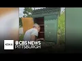 Shaler woman builds free community pet pantry in honor of her beloved dog