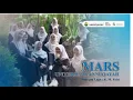 Download Lagu MARS UNIVERSITAS ANNUQAYAH