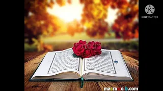 سورة يس كاملة بصوت القارئ الشيخ حسام الدين عبادي 