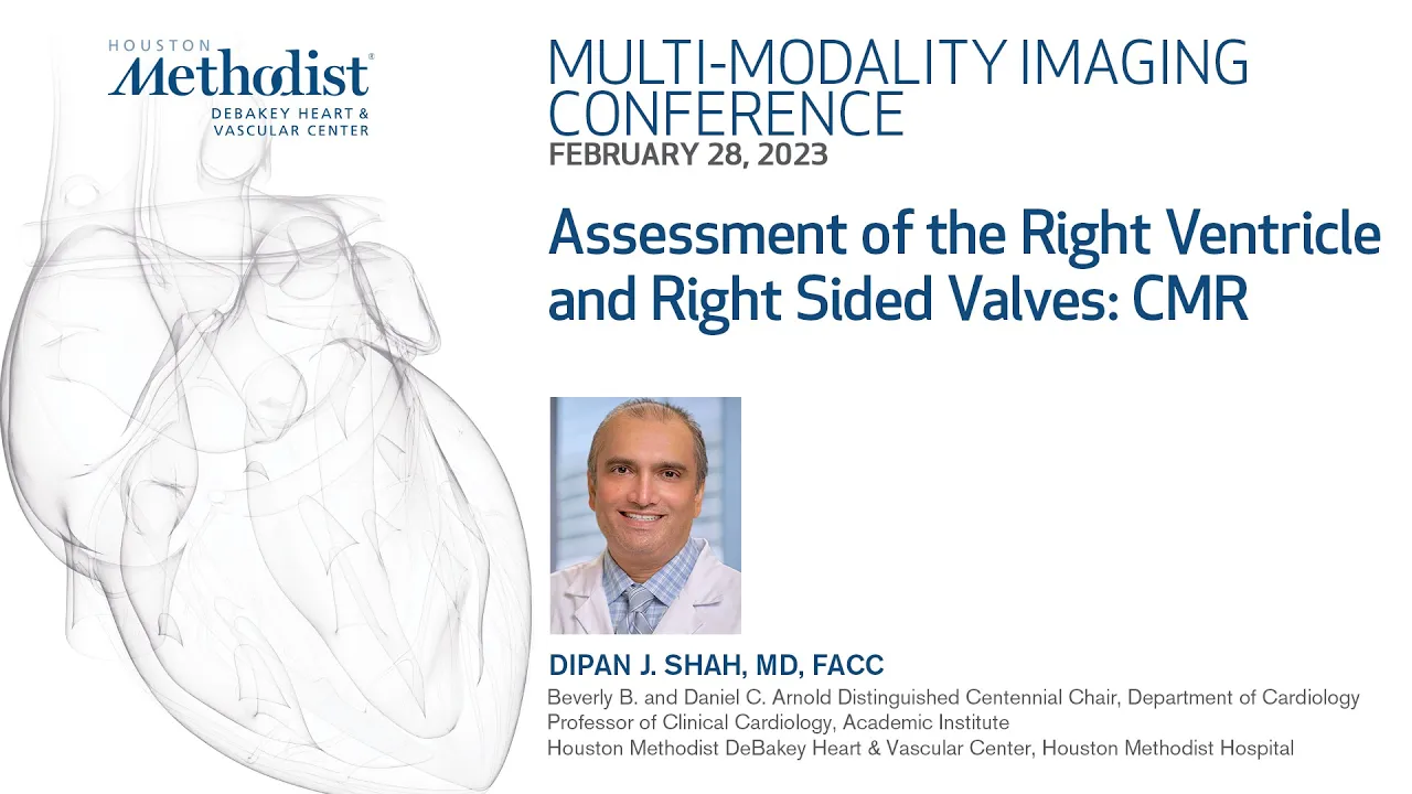 MMI Conference - Assessment of the Right Ventricle and Right-Sided Valves: CMR