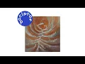 [Official Audio] Ahn Dayoung - MISFORTUNE
