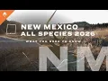 New Mexico All Species Application Guide For 2026