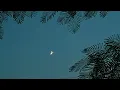 Gali Me Aaj Chand Nikla | Full HD Audio | Alka Yagnik  | Zakhm | Evergreen Romantic Songs ||
