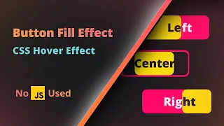 Button Fill Effect Only CSS Hover Effect No JavaScript
