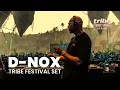 Download Lagu D-Nox's TRIBE25 Anos Performance Was One of a Kind!