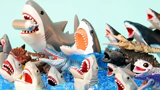 Scary shark, marine life, dinosaur, and reptile toys