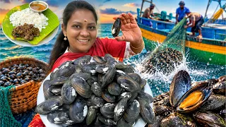 MUSSELS COOKING | 🦪சிப்பி மீன் 😋 இப்படி செஞ்சா செம்ம சுவை 🤤👌Sea Mussels Pepper Fry Recipe Cooking