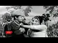 Download Lagu CHALLA DE NISHANI TERI MEHARBANI - FIRDOUS \u0026 HABIB - FILM CHAN VEER
