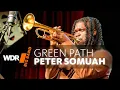 Lagu Peter Somuah - Green Path | WDR BIG BAND