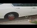 Tire Thefts Plague Staten Island