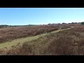 Explore Florida Trails Visit Gainesville Alachua County FL