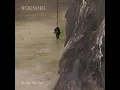 Wounded - White spider