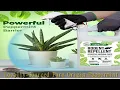 Mighty Mint Gallon 128 oz Rodent Natural Peppermint Oil Spray