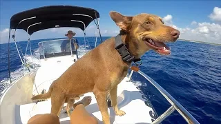 63. Usual Everyday Boatwork in an Exotic Place