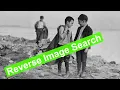Reverse Image Search How to Use Tineye
