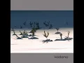 Spira Mirablis - Kodomo