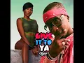 Give It to Ya (Remix) (feat. Patrice Roberts)