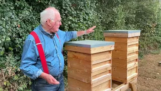 Can you have a single bee hive at the bottom of your garden