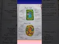 Animal cell And Plant cell easy diagram