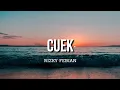 Download Lagu Cuek - Rizky Febian (Lirik)