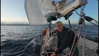 Sailing to Suva and Diving with Sharks