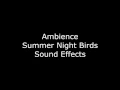 Download Lagu Ambience Summer Night Birds Sound Effects