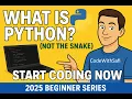What is Python Not the Snake Learn Python Programming from Scratch - EP1