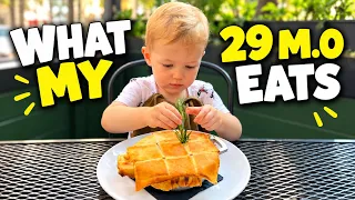 My toddler’s lunch when we are out