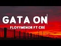 FloyyMenor - GATA ONLY ft. Cris MJ (Letra/Lyrics)