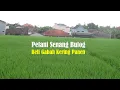 Lagu Petani Senang Kalau Bulog Beli Gabah Kering Panen dengan Harga Wajar