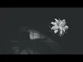 Amaria-All For You