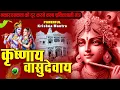 Lagu ॐ कृष्णाय वासुदेवाय हरये परमात्मने - Om Krishnaya Vasudevaya Haraye Paramatmane 108 Times #krishna