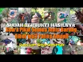 Download Lagu SUARA PIKAT SEMUA JENIS BURUNG LIAR 2021 - telah terbukti hasilnya